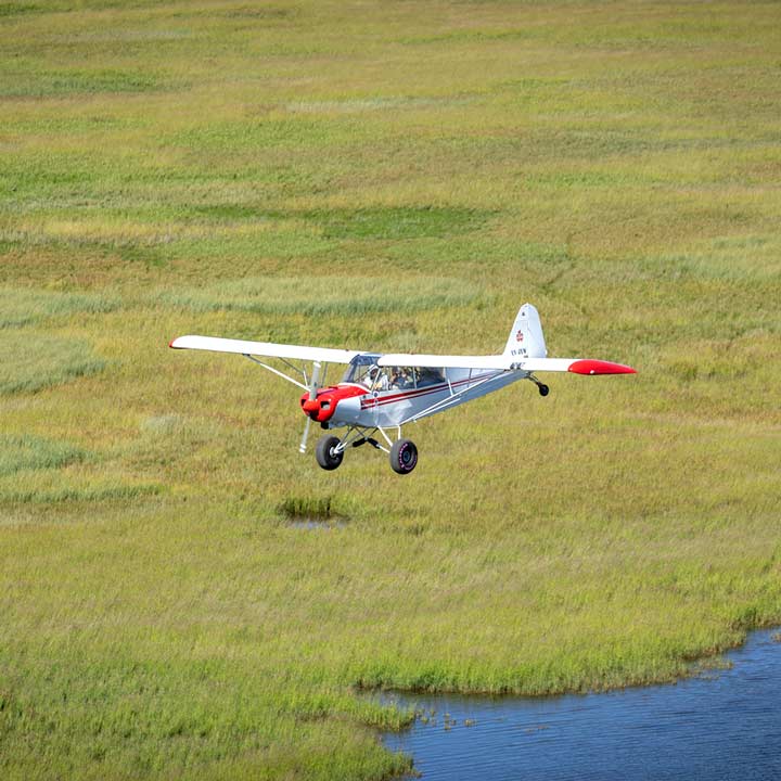 Patagonia Super Cub PA-18-L21 Foto 2