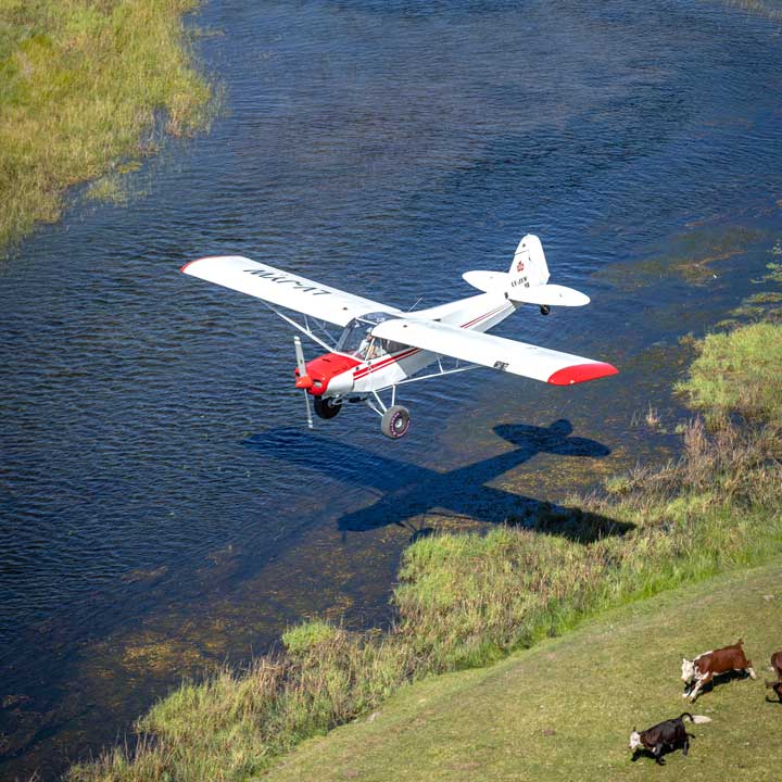 Patagonia Super Cub PA-18-L21 Foto 3