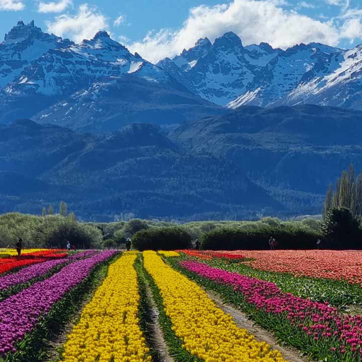 Advanced Training Photo 14