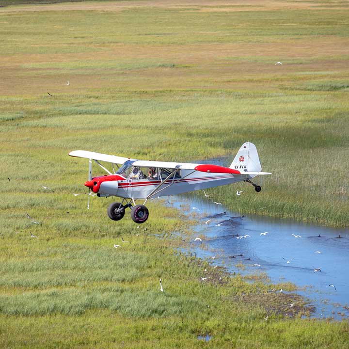 Advanced Training Photo 7