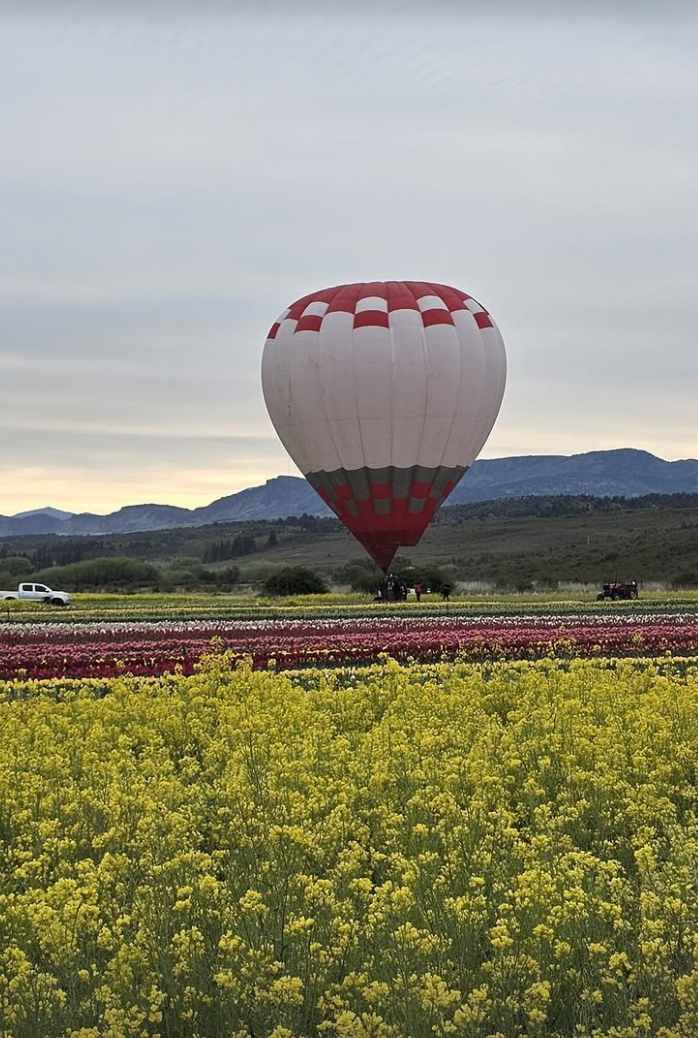 VUELO EN GLOBO